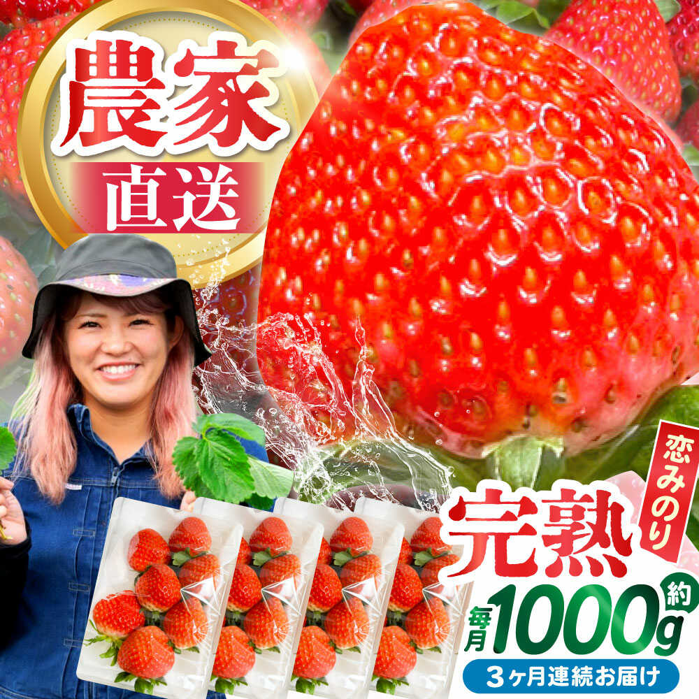 楽天市場】【ふるさと納税】【2026年2月 初回発送】【3回定期便】南島