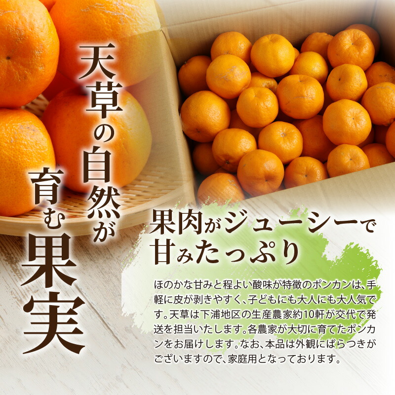 楽天市場】【ふるさと納税】先行予約 天草ポンカン 約 7.5kg 家庭用