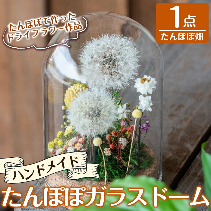 楽天市場】【ふるさと納税】たんぽぽガラスドーム・たんぽぽ畑(1点