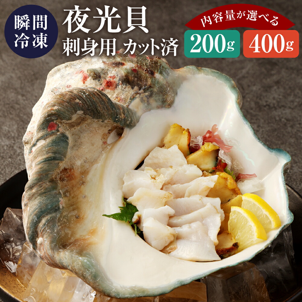 夜光貝 ヤコウ貝 まとめ売り 19個 17、8kg アクセサリー ルアー 夜光貝