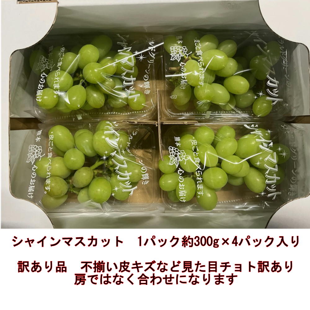 楽天市場】シャインマスカット 1パック約300g×4パック入り 訳あり 熊本