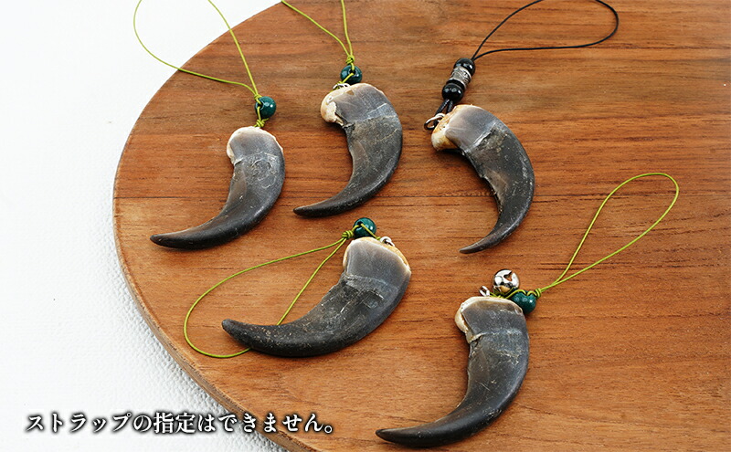 楽天市場】【ふるさと納税】北海道枝幸産 ヒグマの爪ストラップ 6.5cm