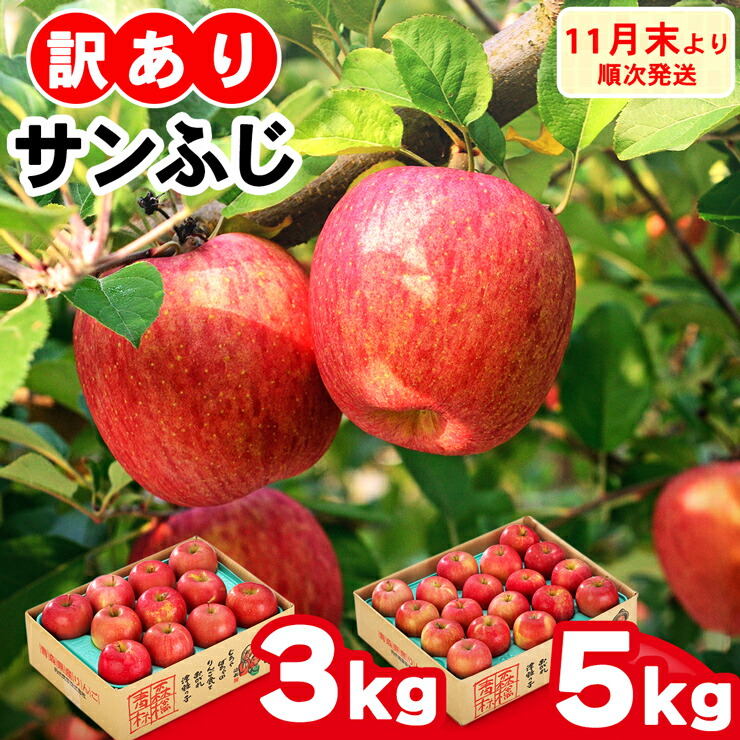 楽天市場】【ふるさと納税】家庭用りんご サンふじ 見た目にわけあり