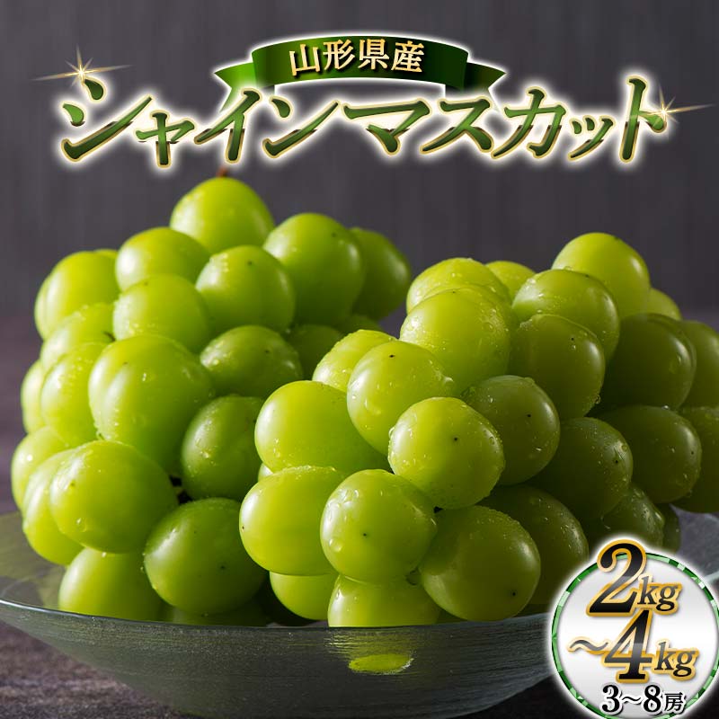 楽天市場】【ふるさと納税】 ≪2026年先行予約≫【本田農園】山形県産