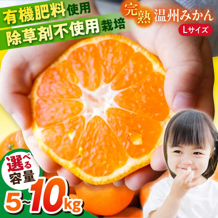 楽天市場】【ふるさと納税】【選べる容量！】温州みかん Lサイズ 約5kg