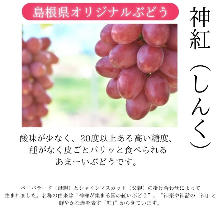 楽天市場】【ふるさと納税】神紅 2房【8月中旬～9月下旬発送】／ 島根