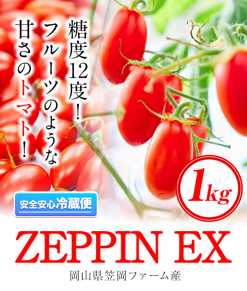 楽天市場】【ふるさと納税】ZEPPIN EX(エクセレント)1kg 平均糖度12度
