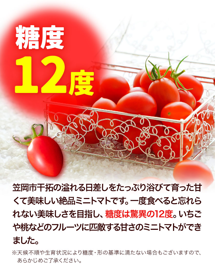 楽天市場】【ふるさと納税】ZEPPIN EX(エクセレント)1kg 平均糖度12度