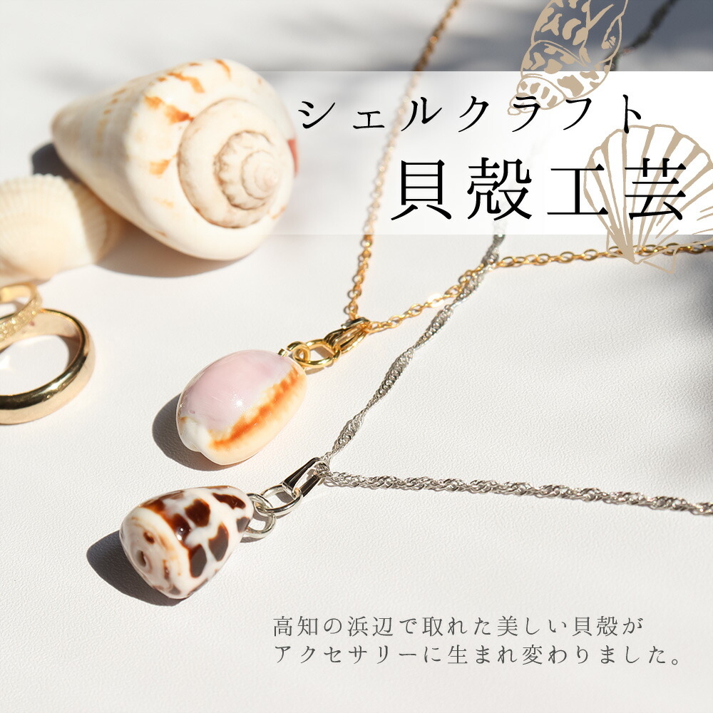 楽天市場】【ふるさと納税】 ＜高知の浜辺でとれた美しい貝殻の