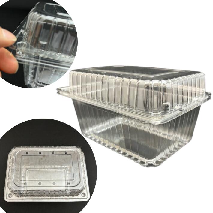 楽天市場】フルーツ 600 8H 穴8個 ボタン嵌合【50枚】 180(160)×130