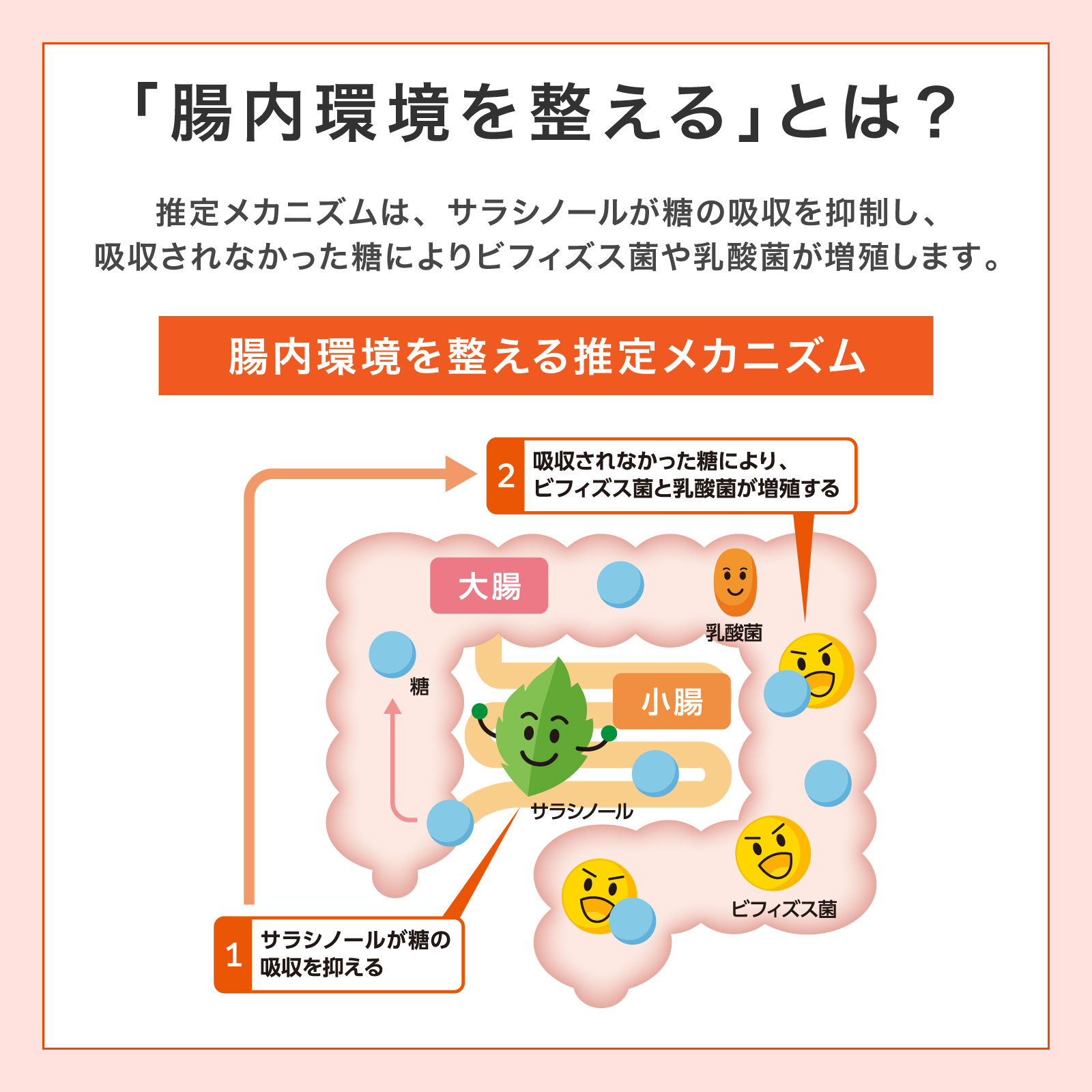 楽天市場】メタバリア 30日分 180粒 [機能性表示食品]【FUJIFILM 公式