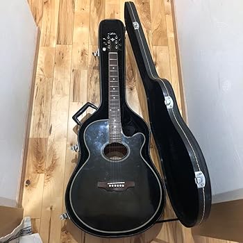 楽天市場】【中古】Aria FET-500 エレアコ : ふじなみ電機