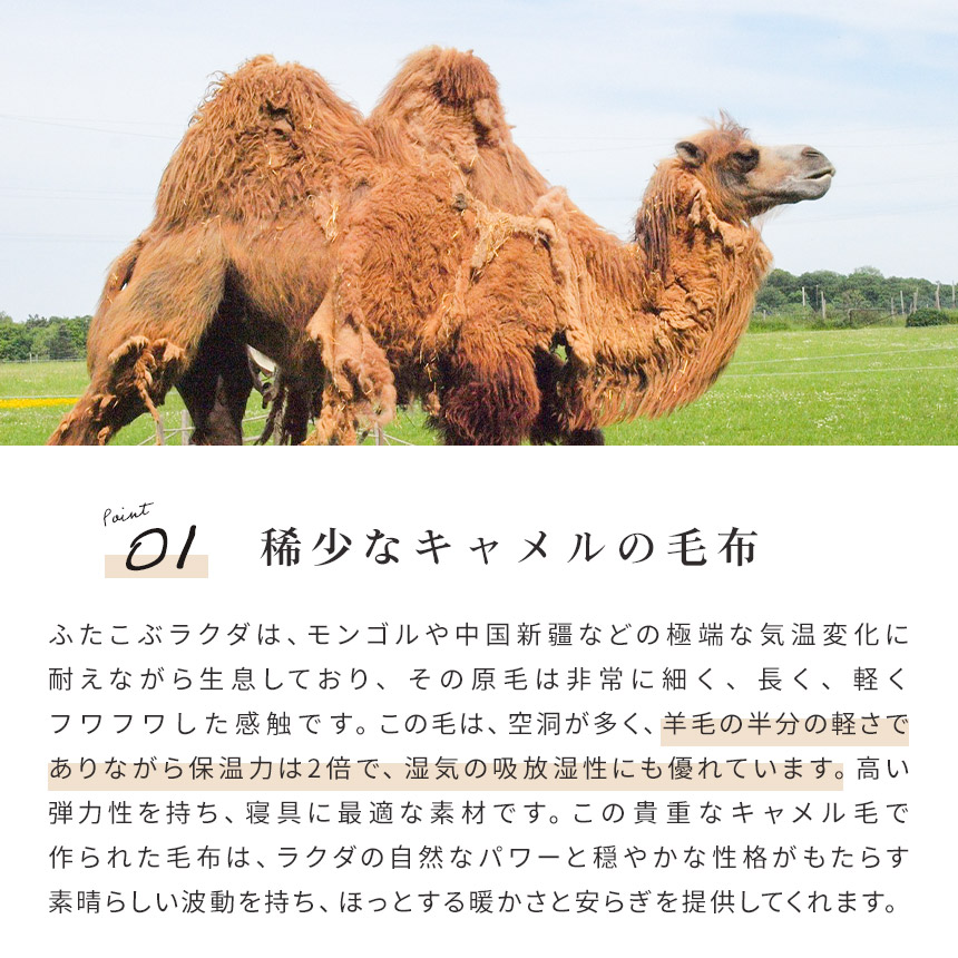 楽天市場】【23日01:59迄1500円OFFクーポン】☆西川の今治タオルセット