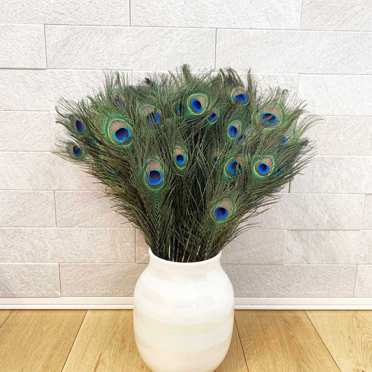 楽天市場】羽 パーツ くじゃく 目玉羽 パーツ（ピーコック アイ