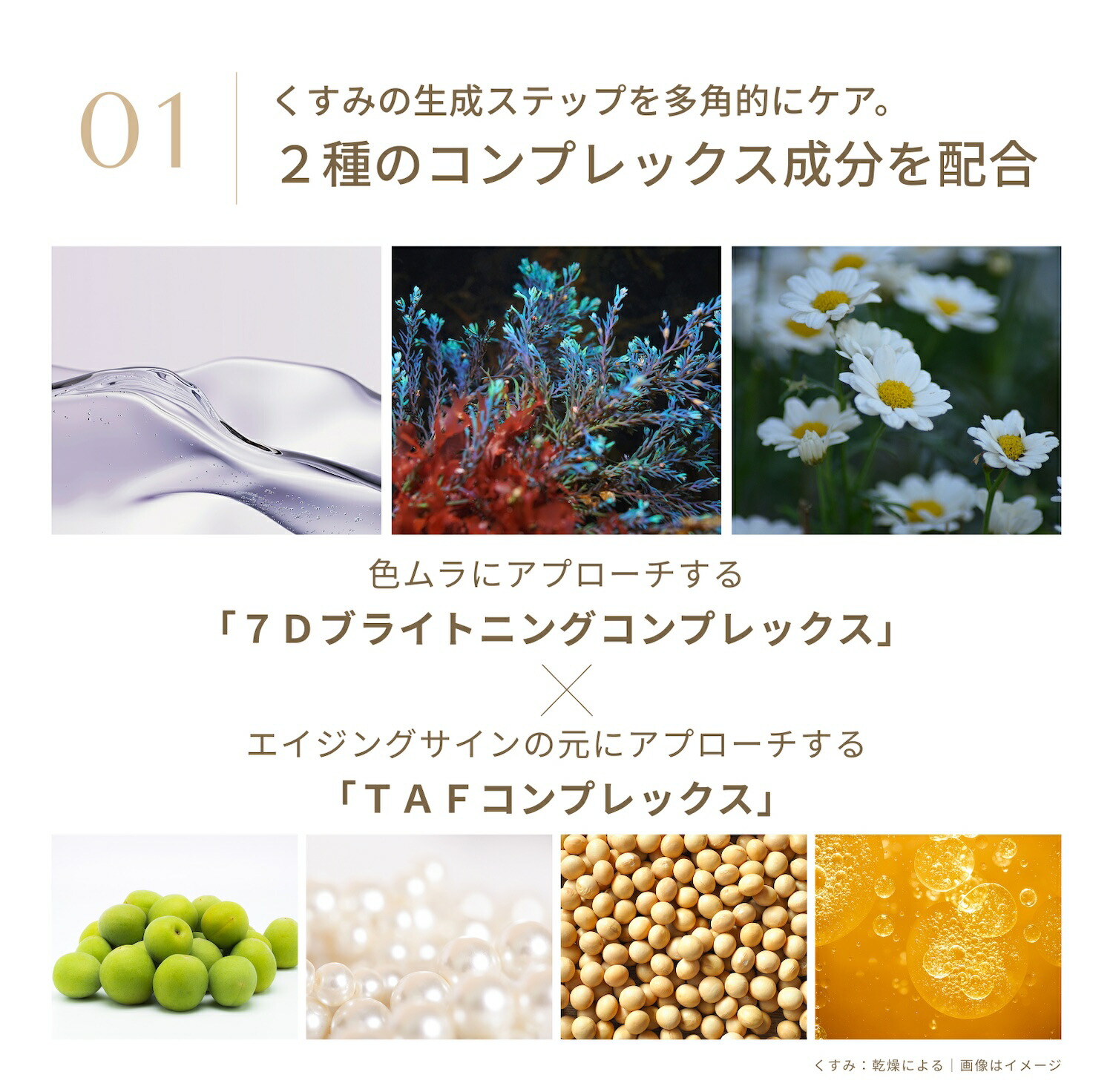 楽天市場】ブライテスト ファーストエッセンスa リリーシング