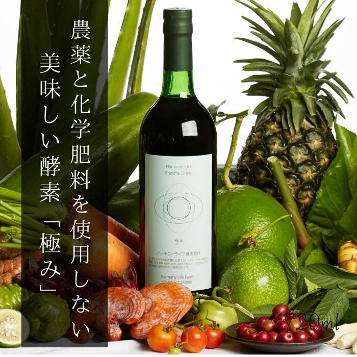 楽天市場】【5％OFFクーポン＆PT5倍】【世界4カ国で販売】酵素