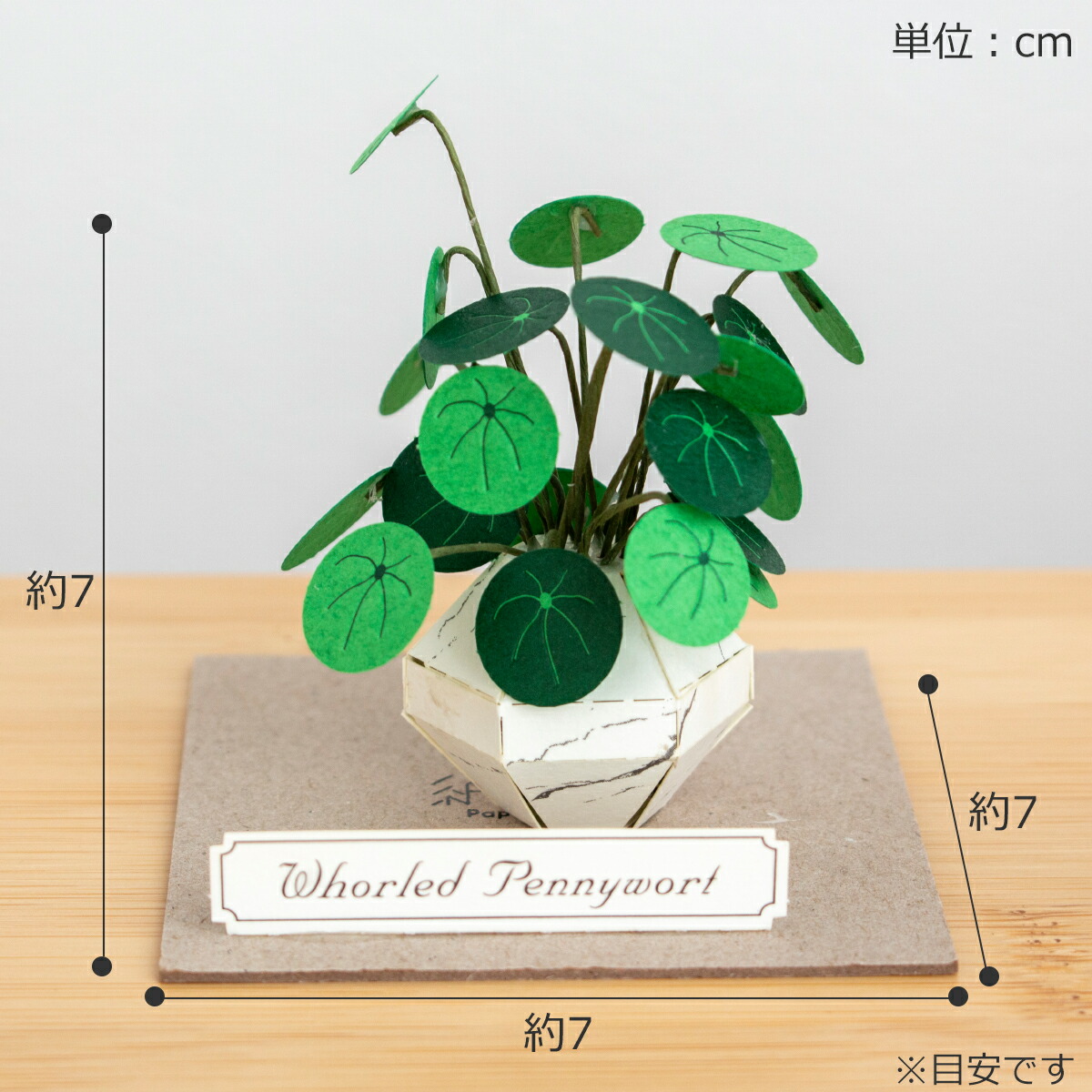 楽天市場】【クーポン対象 2/24 9:59まで】 ペーパークラフトキット