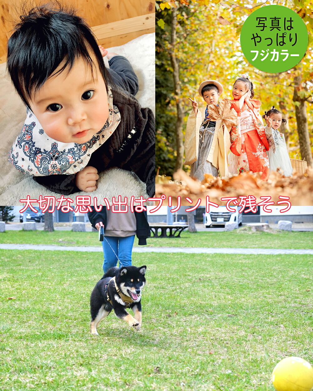 楽天市場】A3サイズ 相当 フジカラープリント 431mm × 305mm スマホ