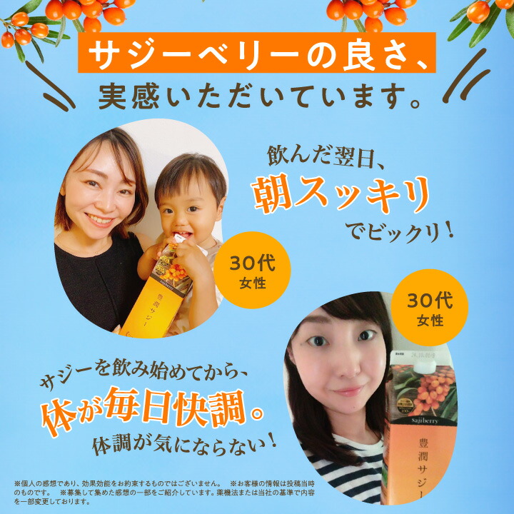 楽天市場】豊潤サジー 1000ml サジージュース【紙パックタイプ】 公式