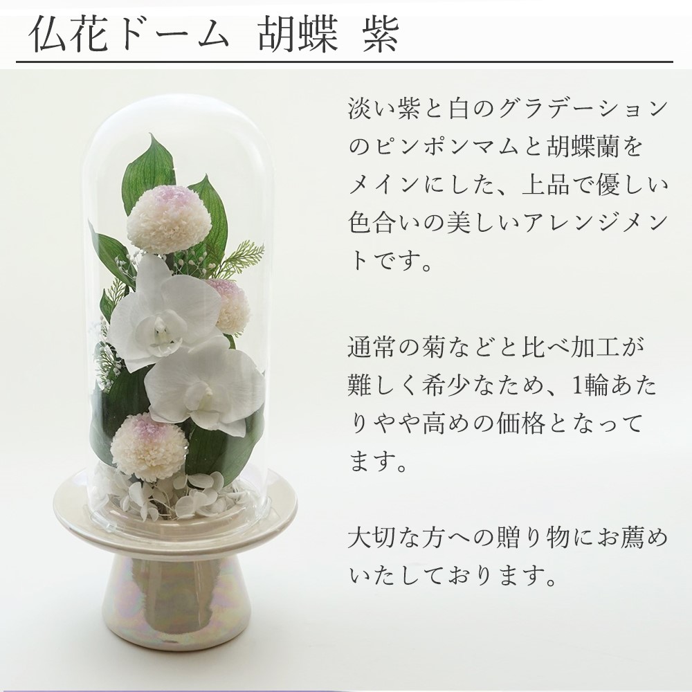 楽天市場】仏花 プリザーブドフラワー 一対可 お供え ガラスドーム