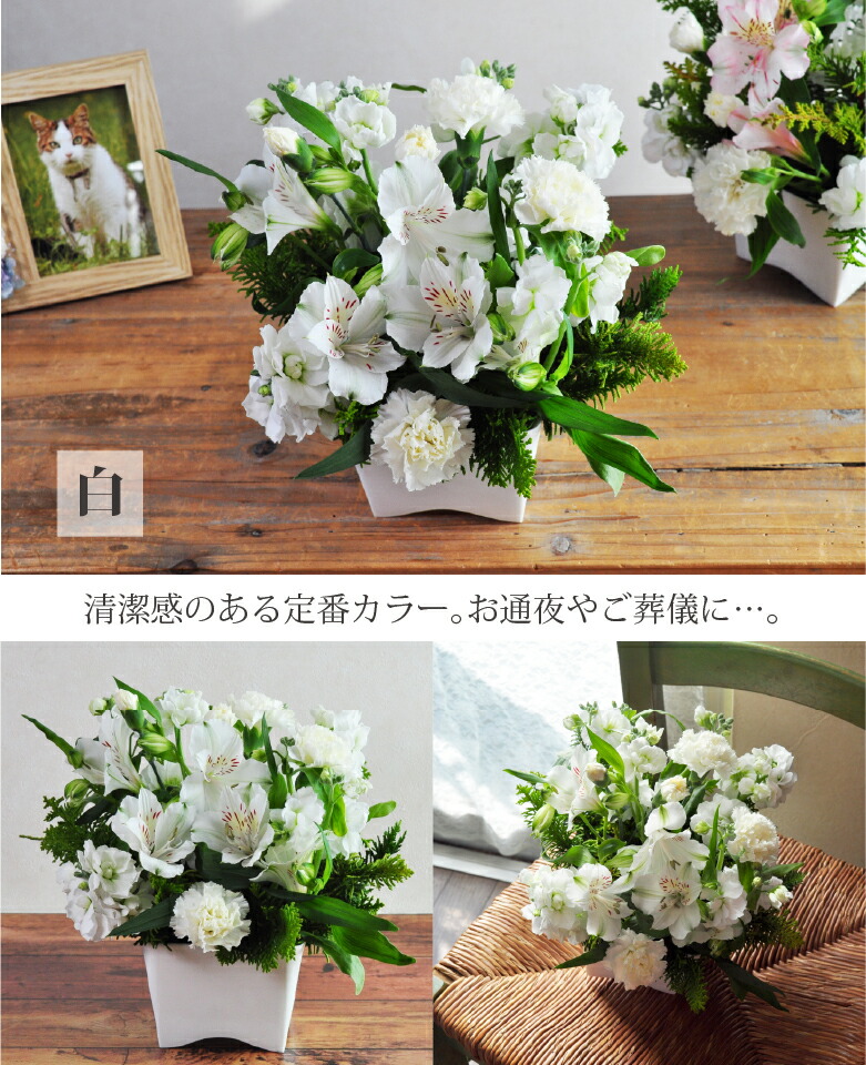 楽天市場】送料無料 お供え花 仏花 花 生花 4色のお供えアレンジメント