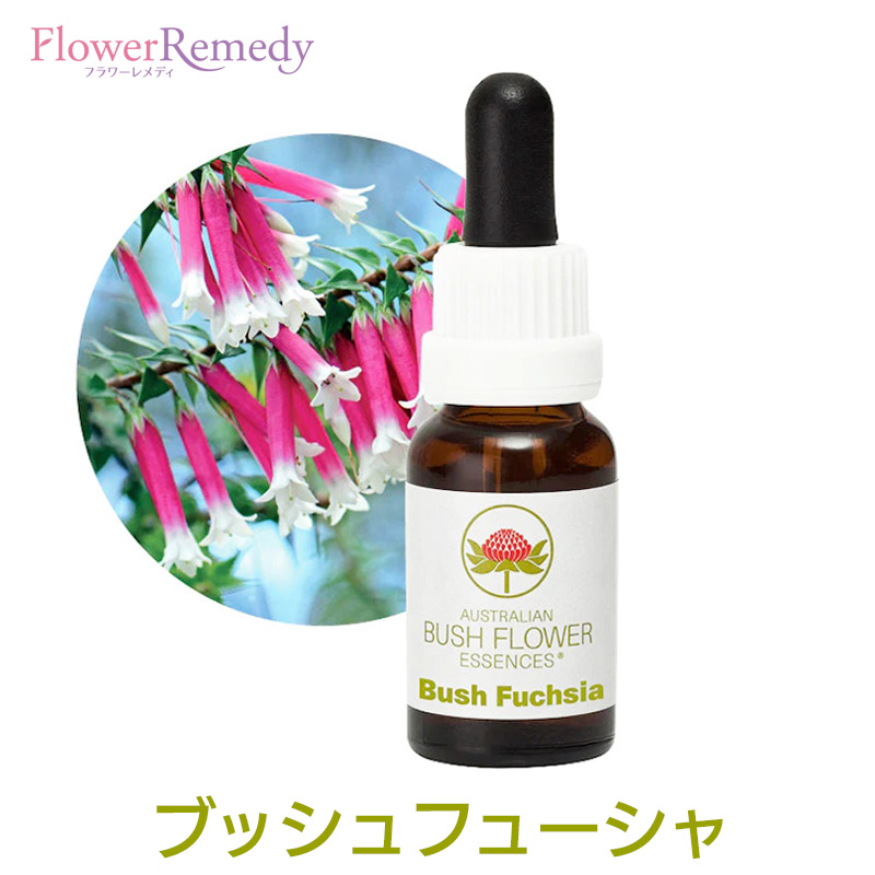 楽天市場】ブッシュフューシャ《オーストラリアンブッシュ