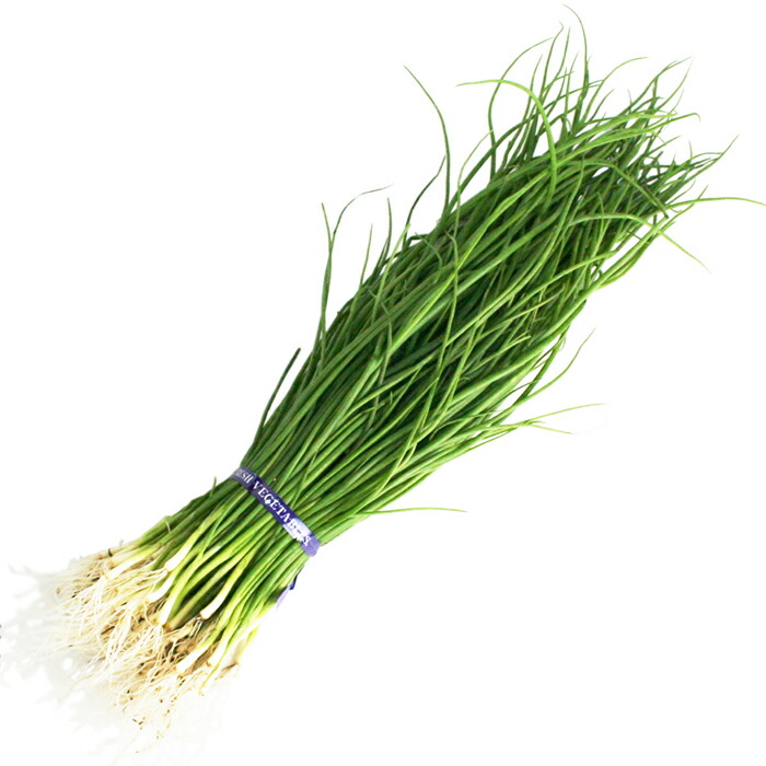 楽天市場】タマネギ トップゴールド320 超極早生 野菜苗 100本 岡山県