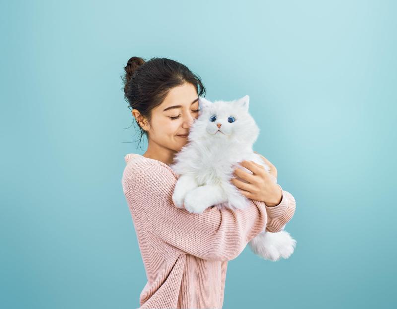 楽天市場】セガフェイブ (SEGA FAVE) KIMIT (キミット) ラグドール