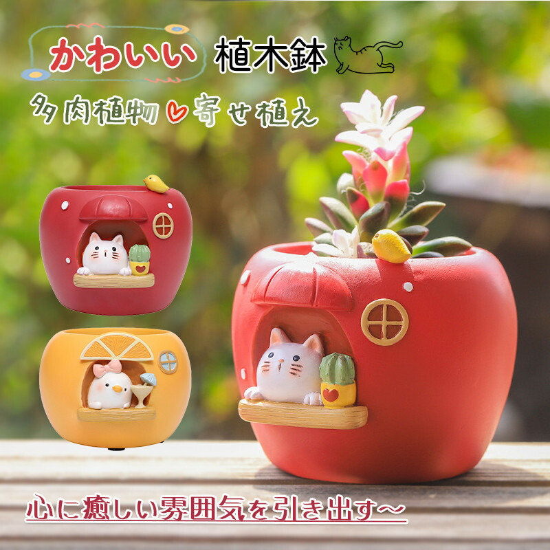楽天市場】鉢 小型 植木鉢 アップルとオレンジ模様 かわいい 多肉植物