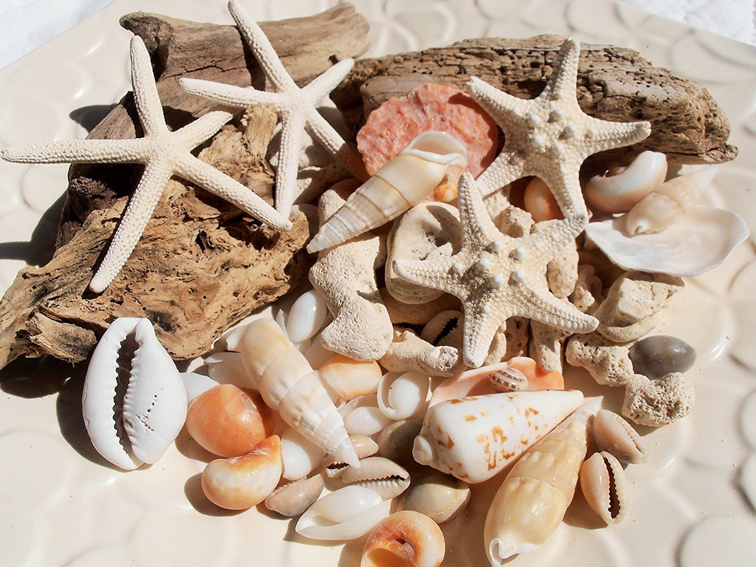 楽天市場】天然素材 流木と貝殻セット ハワイアンインテリア 工作