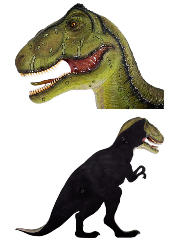 楽天市場】FRP恐竜オブジェ 壁掛けT-Rex置物 白亜紀 肉食恐竜 獣脚類