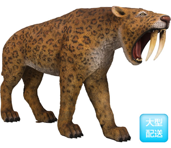 楽天市場】FRP恐竜オブジェ サーベルタイガー置物 肉食恐竜 スミロドン