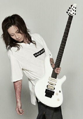 楽天市場】Seed Kotetsu White 新品[シード][Sagoブランド][国産][虎徹