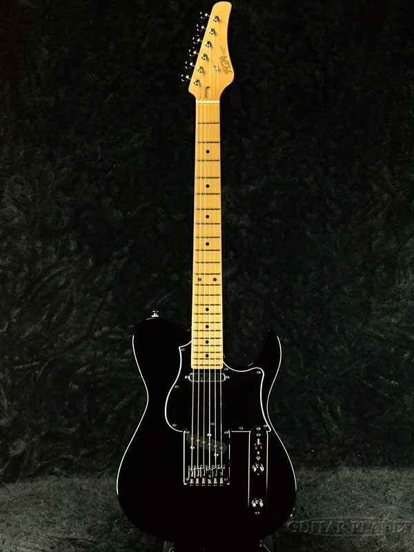 楽天市場】FgN(FUJIGEN) BIL2-M BK 新品[フジゲン][ブラック,Black,黒
