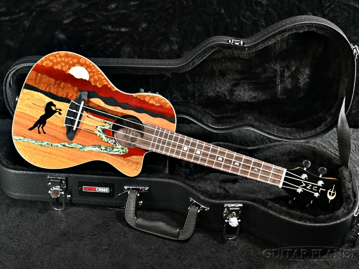 楽天市場】ヘッド ウェイ ギター ケースの通販