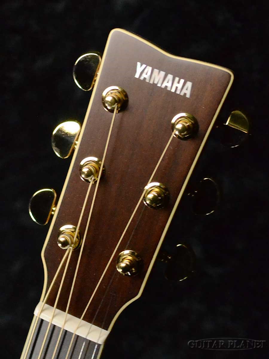楽天市場】YAMAHA LL-TA ~Brown Sunburst~ 新品 [ヤマハ][トランス