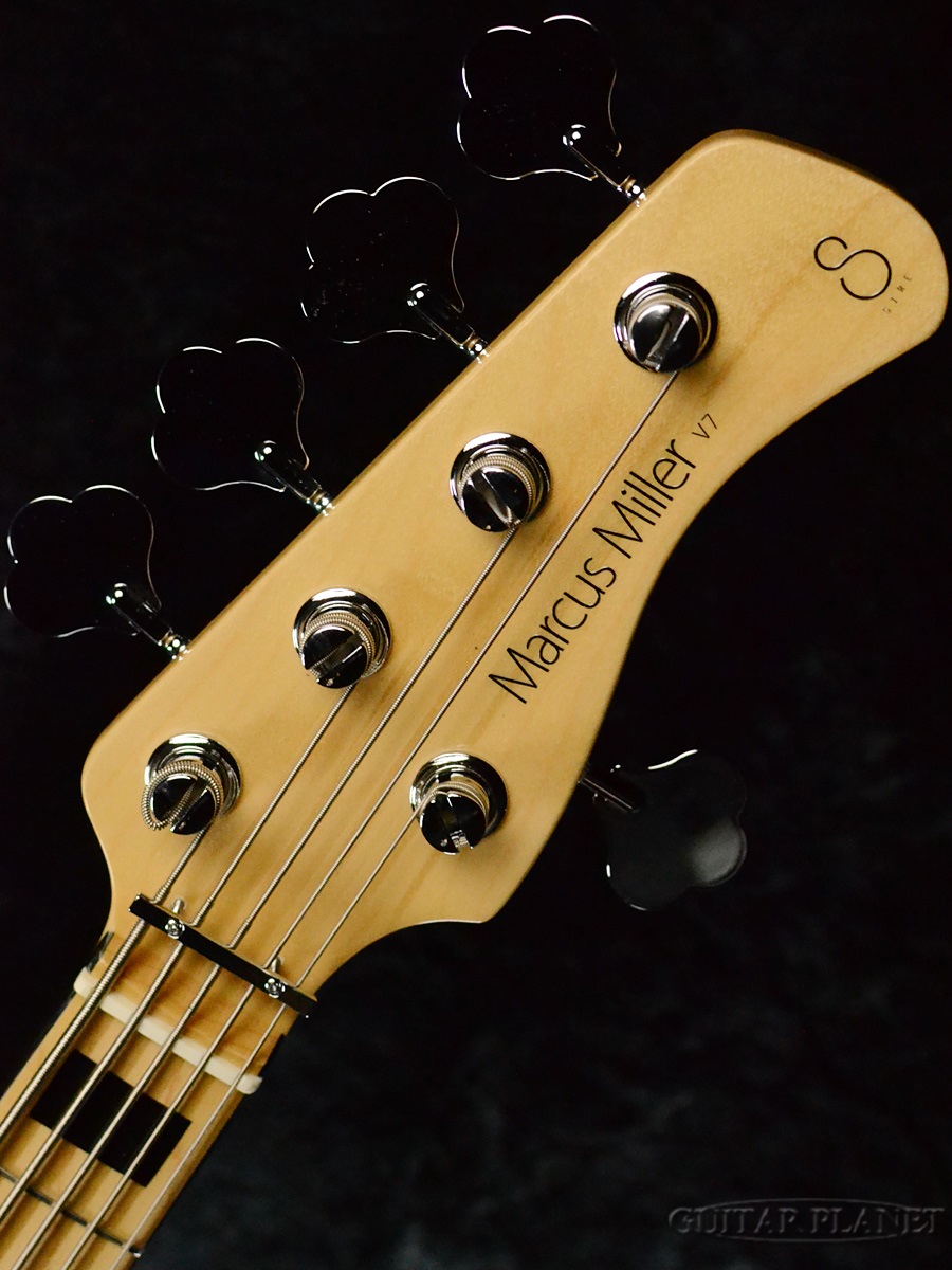 楽天市場】Sire V7 Vintage Ash 5st 2nd Generation -WB- 新品