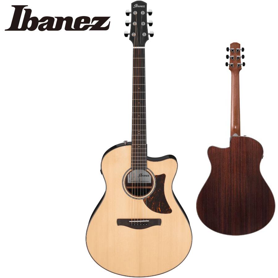 アイバニーズ Ibanez エレアコ」の人気商品一覧 | 安い商品を通販