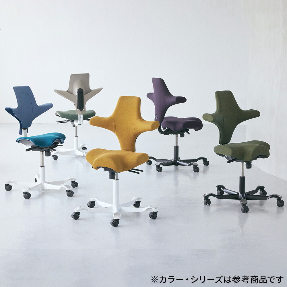 楽天市場】HAG CAPISCO チェア 本革張り レザー(腰痛 姿勢 正規輸入品