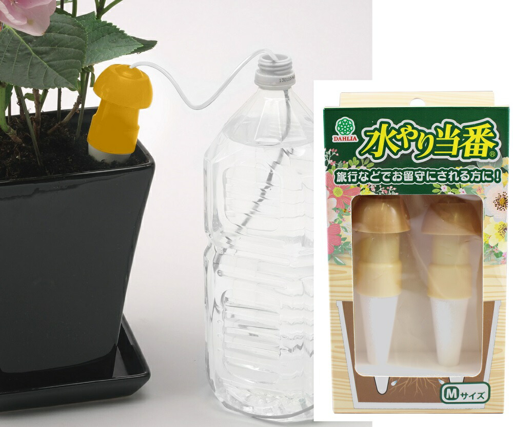 楽天市場】水やり当番 Mサイズ2個入り 〜リニューアル品 自動給水栓 鉢
