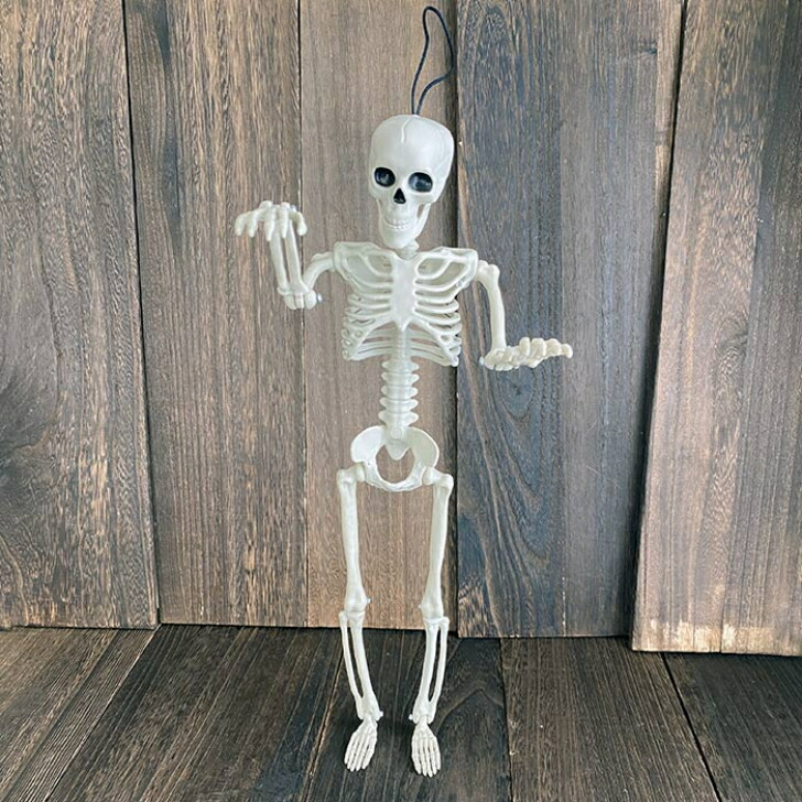 楽天市場】骸骨 ガイコツ フィギュア 36cm おもちゃ どくろ インテリア