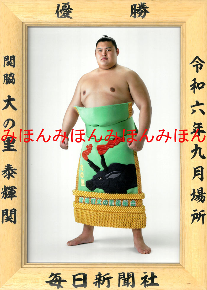 楽天市場】大の里泰輝関 優勝ミニ額 大相撲 ミニ額 大相撲 優勝額 令和