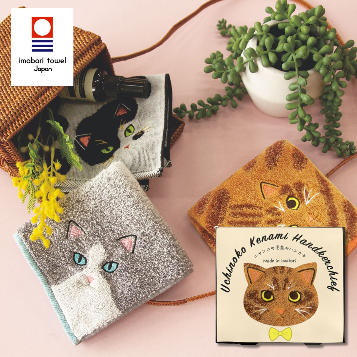 楽天市場】【エントリーでポイント5倍】うちのニャンコ 毛並み