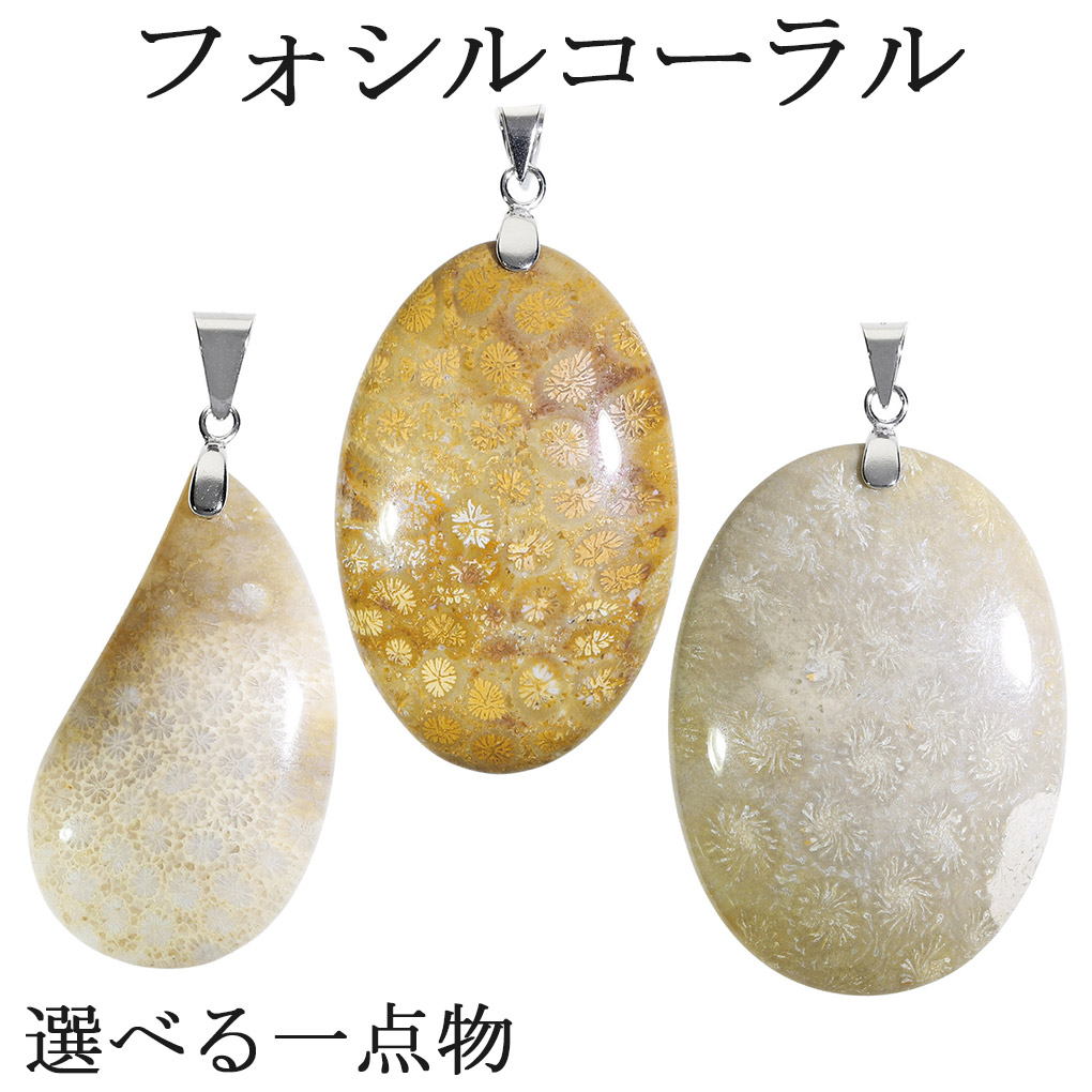 楽天市場】フォシルコーラル シルバー ペンダントトップ 数量限定