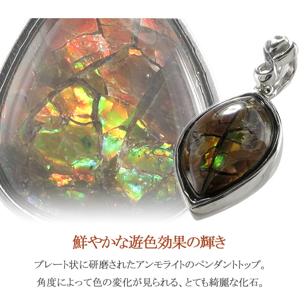 楽天市場】アンモライト シルバー ペンダントトップ 選べる 一点物