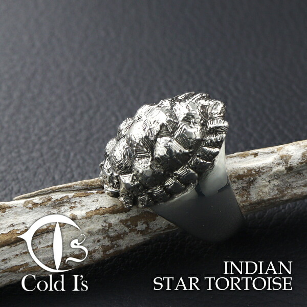 楽天市場】Cold I's ホシガメ 甲羅 リング 7〜27号 シルバー925 指輪