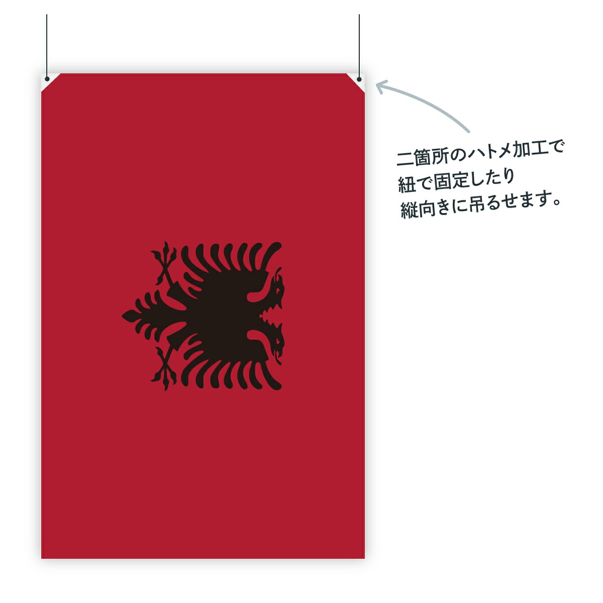 楽天市場】アルバニア共和国 国旗 W75cm H50cm : グッズプロ