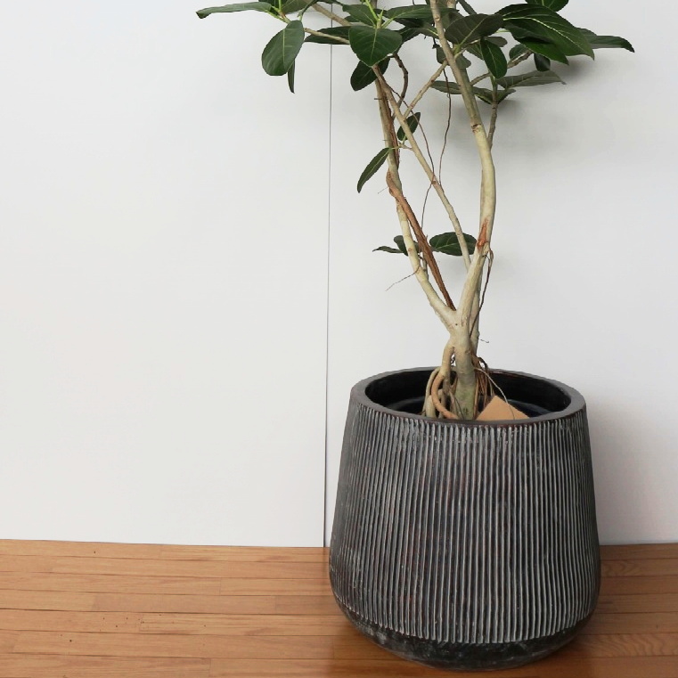 楽天市場】植木鉢 おしゃれ アンティーク テラコッタ AQ001(2サイズ