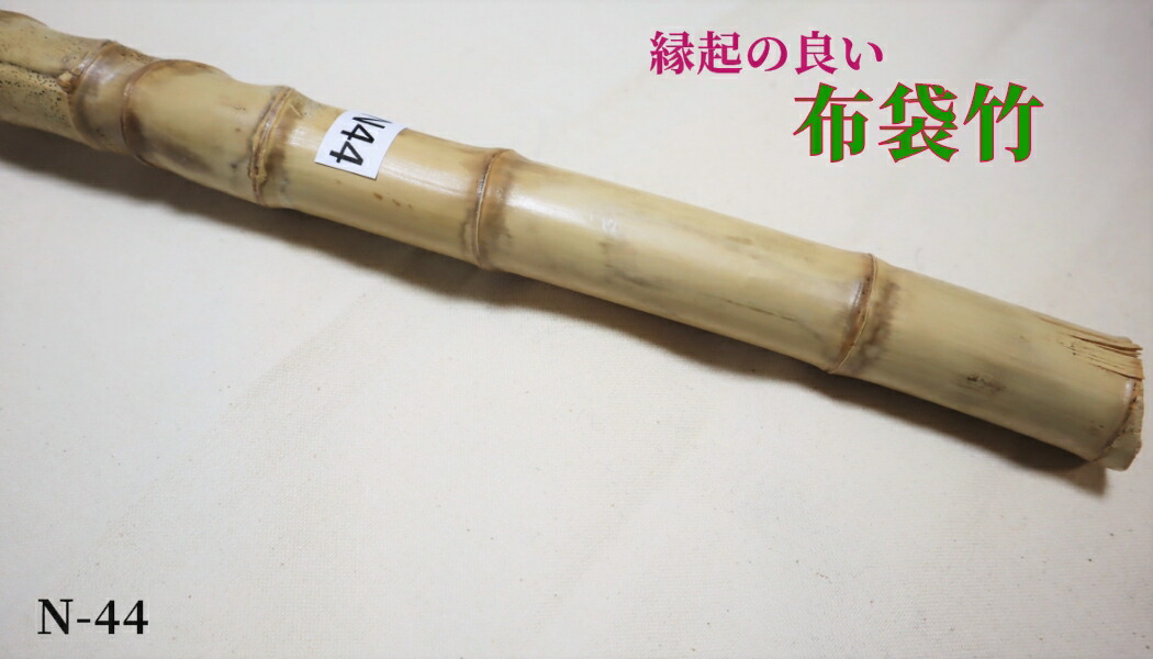 楽天市場】【布袋竹N44】 杖に最適（黄門さま気分） : はっぴ専門店