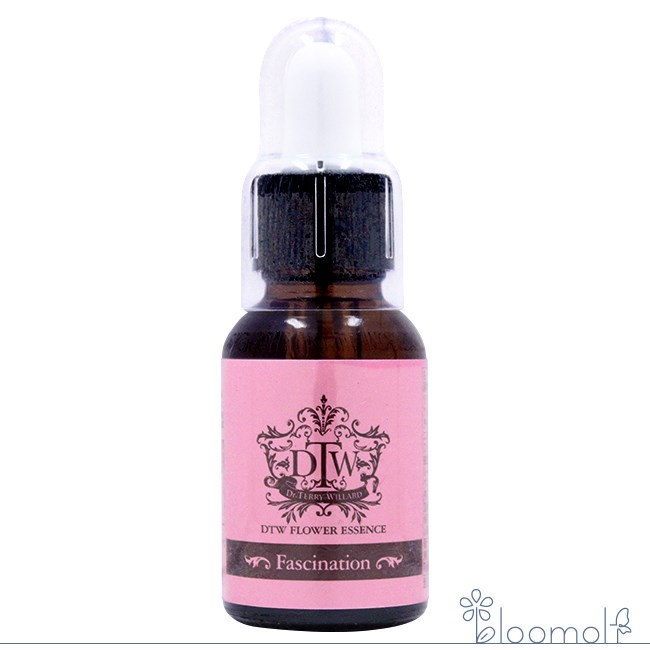 楽天市場】#93 ヒーリング・ザ・ハート・オブ・ザ・ソウル アンジェ